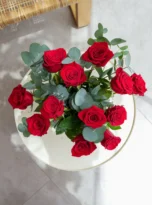DSC01310_1200x.webp